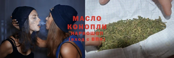 тгк Сатка