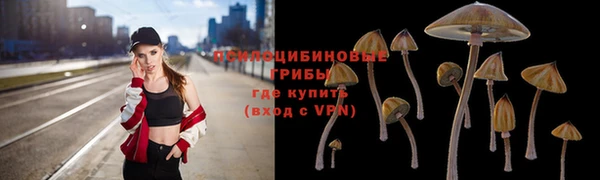 гидра Алексин