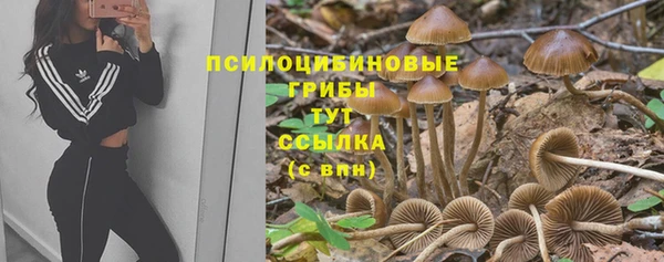 гидра Алексин