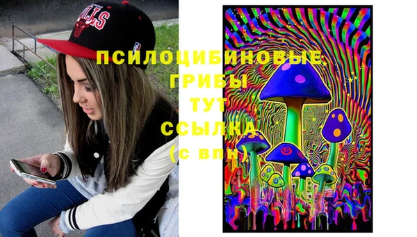 каннабис Алзамай